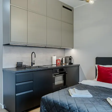 Piekary In The Center - 17 公寓 波兹南